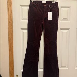 Women's Flared Burgundy Pants